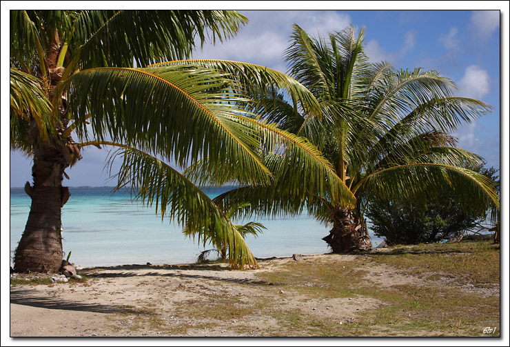 40D11546 cs cadre2.jpg - Fakarava - le lagon de la pension Havaiki